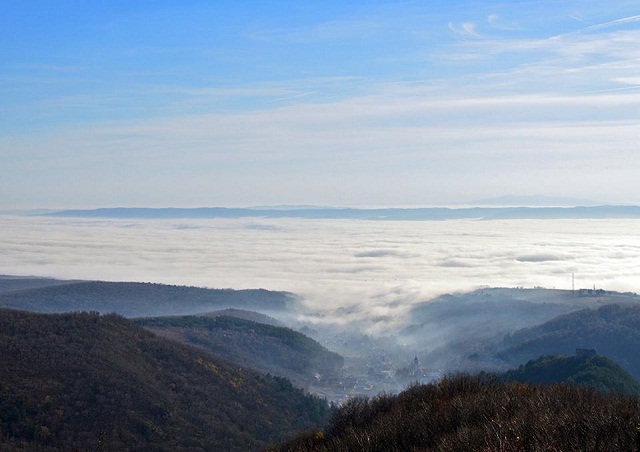 12386536_978520188873056_536449375_n