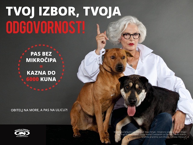 cuke-plakat